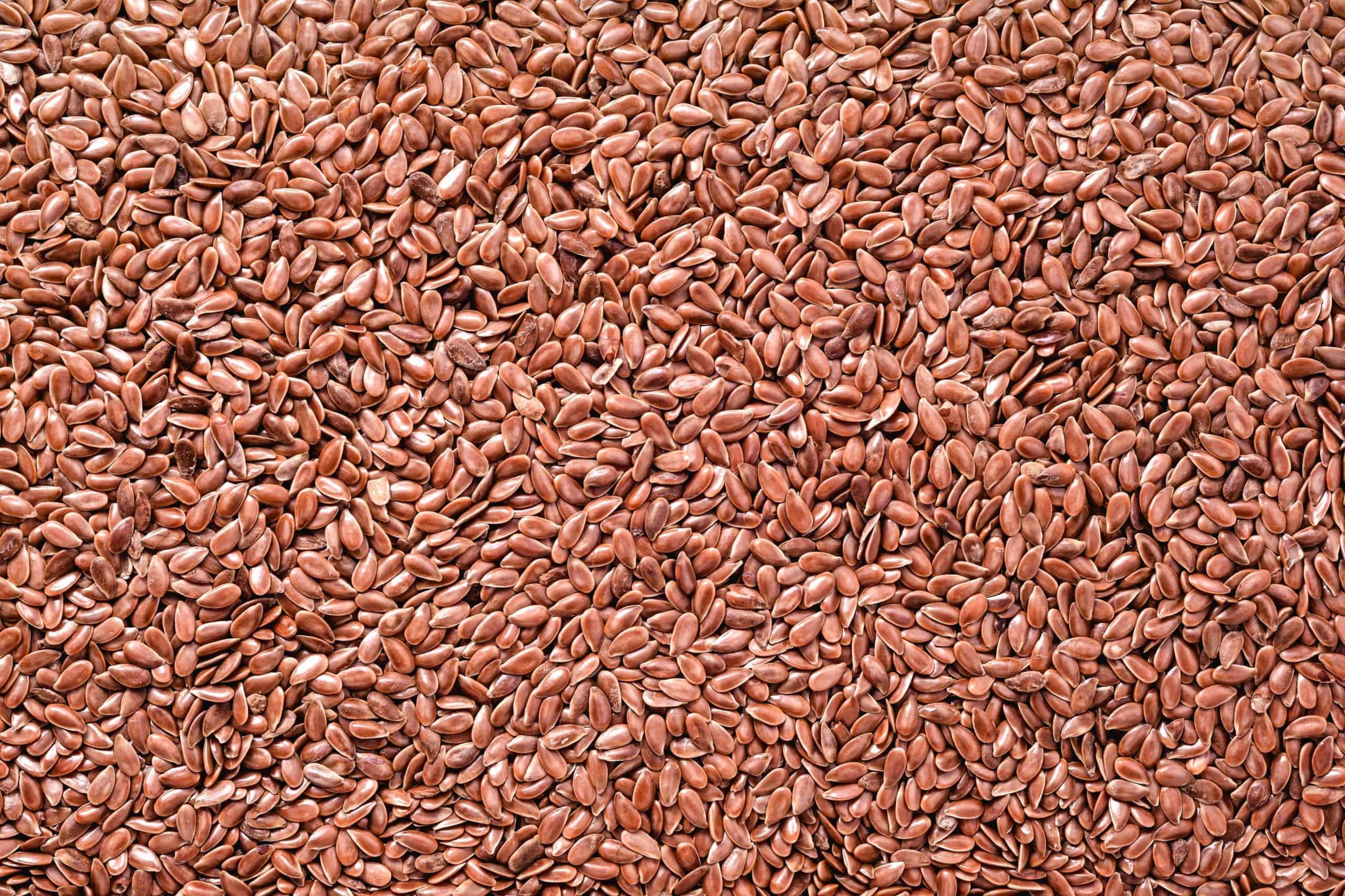 Organic Brown Flax Seeds, Bulk Organique Foods