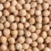 Organic Chickpeas