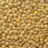 Organic Green Lentils