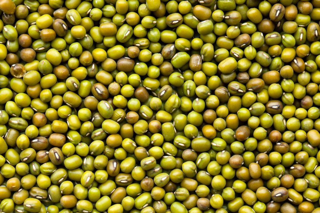 Organic Mung Beans, Bulk Organique Foods