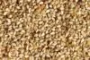 Organic Natural Sesame Seeds