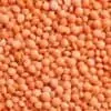 Organic Red Football Lentils