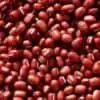 Organic Adzuki Beans