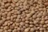 Organic Brown Lentils